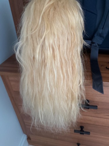 Blonde 360 lace wig - blonde,